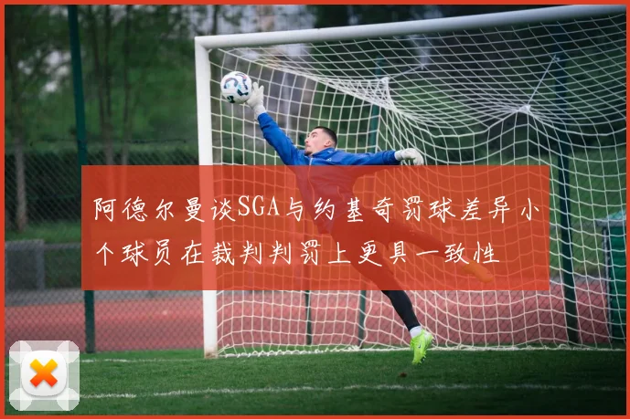 阿德尔曼谈SGA与约基奇罚球差异小个球员在裁判判罚上更具一致性