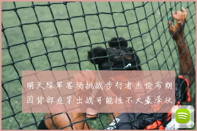明天绿军客场挑战步行者杰伦布朗因背部痉挛出战可能性不大豪泽状态成疑